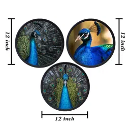 999Store Multicolor Mdf Peacocks Round Wall Art - Set of 3 image 4