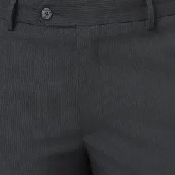 Peter England Grey Slim Fit Striped Trousers image 4