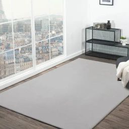 Obsessions Brown Solid Machine Made Carpet - Large-image-32