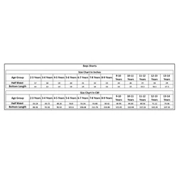 The Lion and the Fish Viscose Woven Tribal Theme Printed Shorts - Princeton Orange image 2