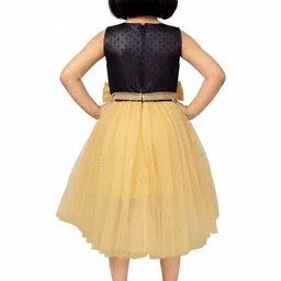 Aarika Net Fit & Flare Dress image 2