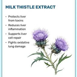 What's Up Wellness Set Of 3 Lung & Liver Detox Capsules - 30 Capsules Each image 3