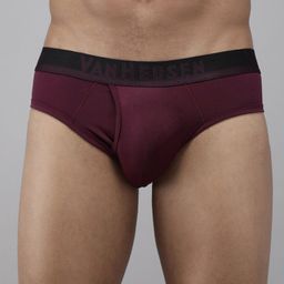 van heusen innerwear Van Heusen Men Swift Dry 4 Way Stretch Air Briefs- IHIBR1SDP30011-picture-31
