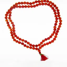 RAVIOUR LIFESTYLE Synthetic Necklace-picture-26