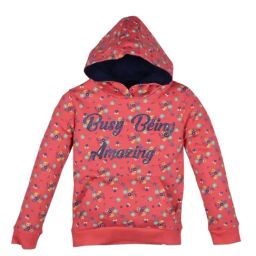 Plum Tree Kids Coral Embellished Hoodies-picture-28