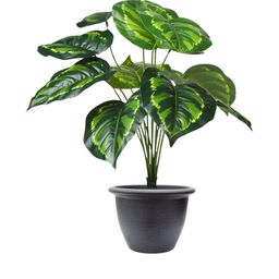 Go Hooked Pack of 1 Artificial Philodendron Plant with complimentary Nursery Pot-picture-15
