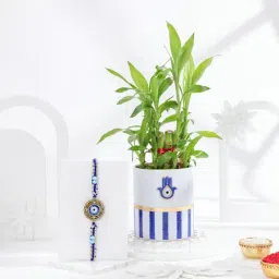 Lucky Greens And Protection Rakhi Combo image 2