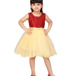 Aarika Kids Maroon Regular Fit Dress image 1