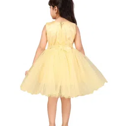 Aarika Kids Maroon Regular Fit Dress image 2