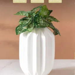 Nestasia soft white colored medium geometric textured decorative ceramic Flower Vase for Interior image 4