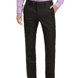Arrow Dark Brown Regular Fit Checks Trousers image 1