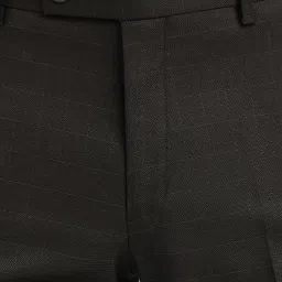 Arrow Dark Brown Regular Fit Checks Trousers image 4