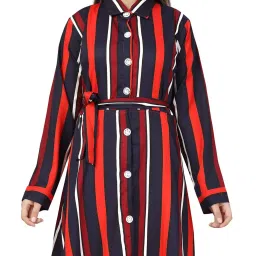 Aarika Kids Navy & Red Striped Full Sleeves Dress image 5