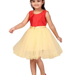 BAESD Net Fit & Flare Dress image 4