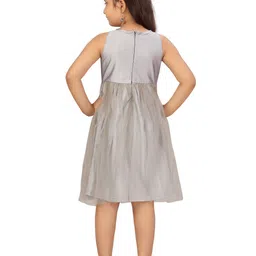 BAESD Net Fit & Flare Dress image 5