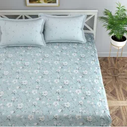 Florida BS-Vision Blue Cotton 300 TC Double Size Bedsheet With 2 Pillow Covers image 2