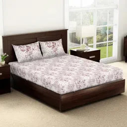 Spaces Abstract Brown 144 TC Cotton King Bedsheet With 2 Pillow Covers image 2