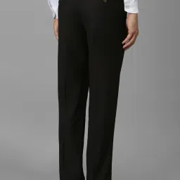 Louis Philippe Brown Regular Fit Trousers image 2