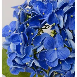 Blooming Floret Blue 1 Pieces Hydrangea Artificial Flower image 5