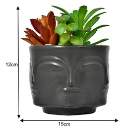 Myntra Elegant Homes Black & Green Succulent Artificial Plant With Pot image 5