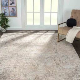 Obsessions Light Brown Abstract Modern Carpet - Large-picture-44