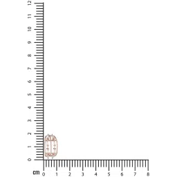 Aatmana Rose Gold-Plated Cubic Zirconia Studded Half Stud Earrings image 4