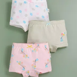 Poftik Pack Of 3 Assorted Hipster Mid Rise Briefs + 1BOX_GIRL_PANTY_120_PINK-BOX__A1-picture-12