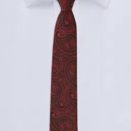 Allen Solly Maroon Printed Formal Tie image 4