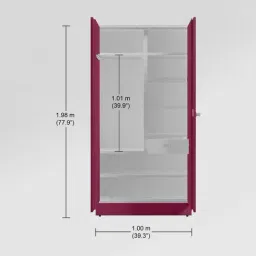 Godrej Interio Auraline Women Basic 2-Door Steel Almirah, Textured Berry (1-Year Warranty, 1 Drawer) image 3