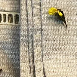 Pravaah India Dharti King Size Hemp Bedsheet Set | 100% Hemp & Herringbone Weave image 3