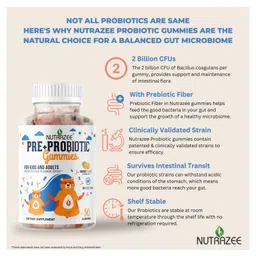 Nutrazee Probiotic Gummies Supplement with Prebiotic Fiber Zero Added Sugar Gummy Bears - 30 Gummies image 3