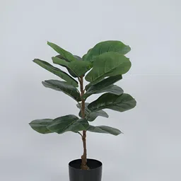 ARICK DECOR Green 1 Pieces Fig Artificial Plant With Pot image 3