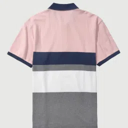 American Eagle Outfitters Multi Regular Fit Striped Polo T-Shirt image 4