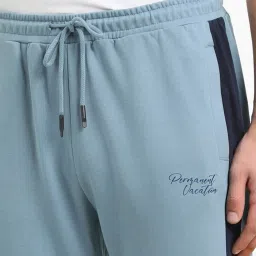 Forever 21 Blue Regular Fit Striped Trackpants image 4