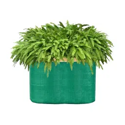 SINGHAL 9x9 inch Durable Grow Bag, 0629AFEJ3AI-picture-38