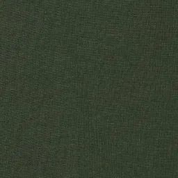 Fame Forever by Lifestyle Kids Olive Cotton Printed T-Shirt image 4