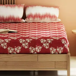 Bianca Magnolia Burgundy 152 TC Micro Fabric Double Bedsheet with 2 Pillow Covers image 2