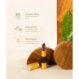 SoulTree Ayurvedic Lipstick - Creamy Cacao 815 - 4 gm | Organic Lipstick image 3