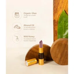 SoulTree Ayurvedic Lipstick - Massive Mauve 605 - 4 gm | Organic Lipstick image 3