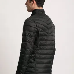 The Bear House Black Regular Fit Quilted Jacket image 2