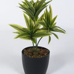 ARICK DECOR 15 inch Artificial Dracaena Plants With Black Pot | Home Decor, Office Decor Perfect, Set of 1-picture-18