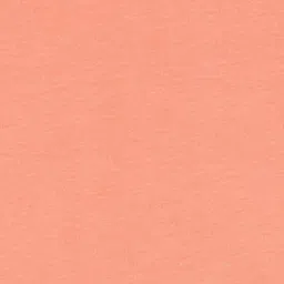 Juniors by Lifestyle Boys Typography Printed Round Neck Cotton Regular Fit T-shirt image 2