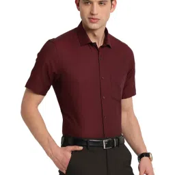 Turtle Maroon Cotton Regular Fit Shirt image 4