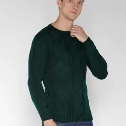 Identiti Dark Green Slim Fit Self Design Pullover image 4