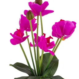 AARVI DECOR STUDIO Pink & Green Orchid Artificial Flower With Pot image 3