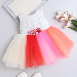 The Magic Wand Sleeveless Floral Applique Detailed Colour Blocked Net Dress - Multi Colour-picture-27