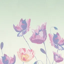 DDecor Primary White 136 TC Comforter - Set of 1 image 4