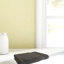 Spaces Econova Dark Grey 550 GSM Cotton Hand Towel - Set of 2-picture-2