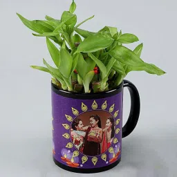 FNP Black Stainless Steel Precious Two Layer Bamboo Plant In Mug (325ml) - Set of 2 image 3