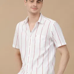 CAVALLO by Linen Club White Linen Blend Slim fit Stripes casual shirts image 3